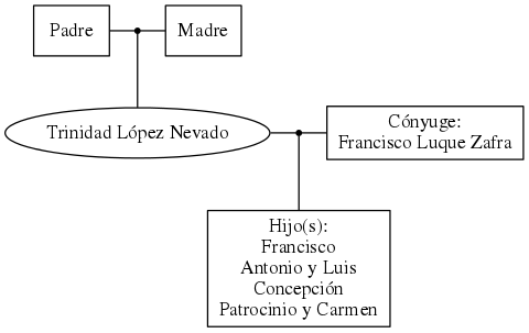 This is a graph with borders and nodes. Maybe there is an Imagemap used so the nodes may be linking to some Pages.