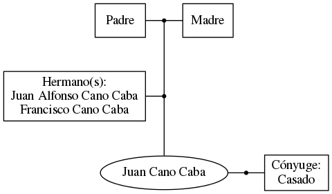 This is a graph with borders and nodes. Maybe there is an Imagemap used so the nodes may be linking to some Pages.