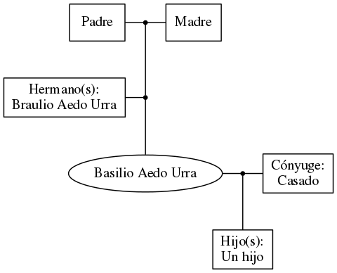 This is a graph with borders and nodes. Maybe there is an Imagemap used so the nodes may be linking to some Pages.