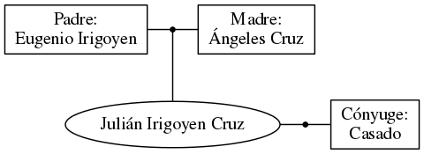 This is a graph with borders and nodes. Maybe there is an Imagemap used so the nodes may be linking to some Pages.