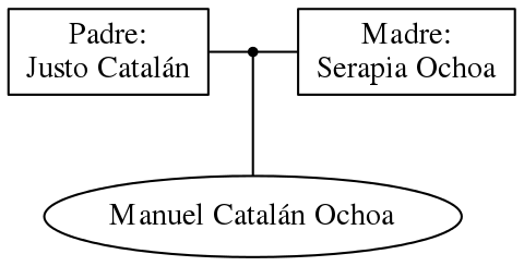 This is a graph with borders and nodes. Maybe there is an Imagemap used so the nodes may be linking to some Pages.