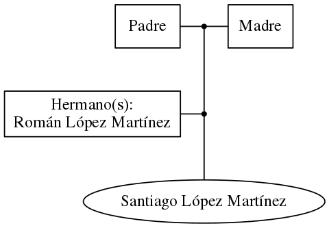 This is a graph with borders and nodes. Maybe there is an Imagemap used so the nodes may be linking to some Pages.