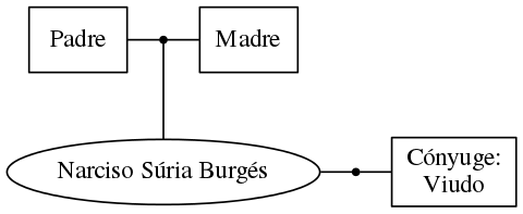 This is a graph with borders and nodes. Maybe there is an Imagemap used so the nodes may be linking to some Pages.