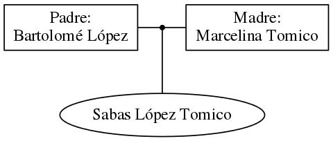 This is a graph with borders and nodes. Maybe there is an Imagemap used so the nodes may be linking to some Pages.