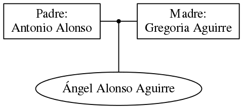 This is a graph with borders and nodes. Maybe there is an Imagemap used so the nodes may be linking to some Pages.