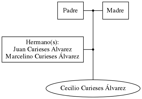 This is a graph with borders and nodes. Maybe there is an Imagemap used so the nodes may be linking to some Pages.