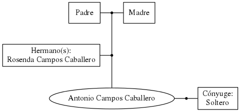 This is a graph with borders and nodes. Maybe there is an Imagemap used so the nodes may be linking to some Pages.