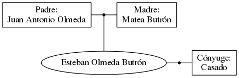 This is a graph with borders and nodes. Maybe there is an Imagemap used so the nodes may be linking to some Pages.