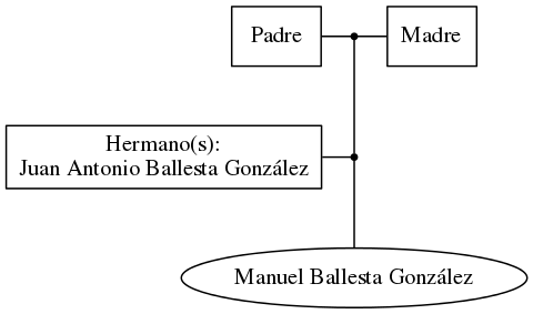 This is a graph with borders and nodes. Maybe there is an Imagemap used so the nodes may be linking to some Pages.