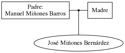 This is a graph with borders and nodes. Maybe there is an Imagemap used so the nodes may be linking to some Pages.