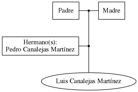 This is a graph with borders and nodes. Maybe there is an Imagemap used so the nodes may be linking to some Pages.