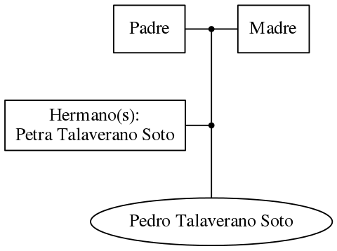 This is a graph with borders and nodes. Maybe there is an Imagemap used so the nodes may be linking to some Pages.