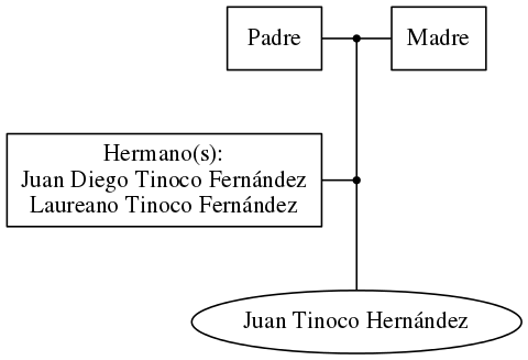 This is a graph with borders and nodes. Maybe there is an Imagemap used so the nodes may be linking to some Pages.