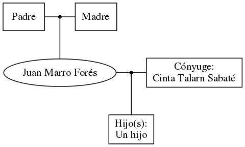 This is a graph with borders and nodes. Maybe there is an Imagemap used so the nodes may be linking to some Pages.