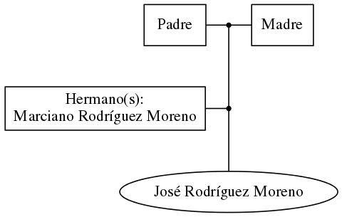 This is a graph with borders and nodes. Maybe there is an Imagemap used so the nodes may be linking to some Pages.