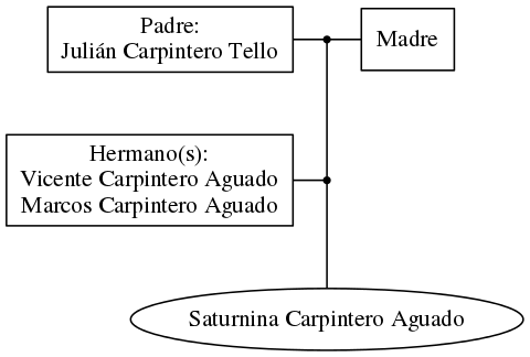 This is a graph with borders and nodes. Maybe there is an Imagemap used so the nodes may be linking to some Pages.