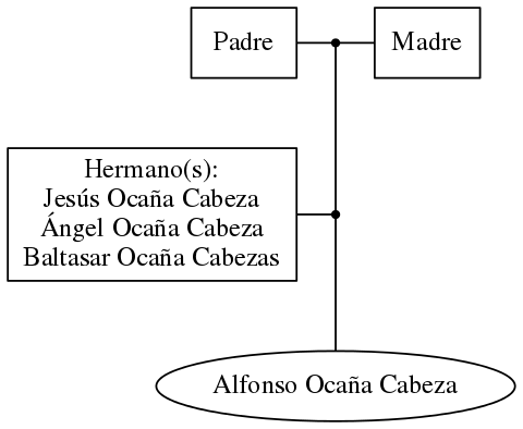 This is a graph with borders and nodes. Maybe there is an Imagemap used so the nodes may be linking to some Pages.