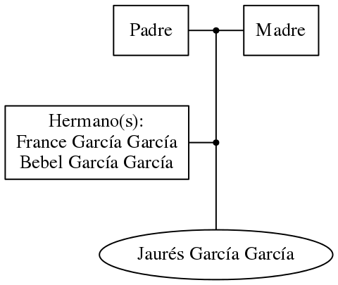 This is a graph with borders and nodes. Maybe there is an Imagemap used so the nodes may be linking to some Pages.