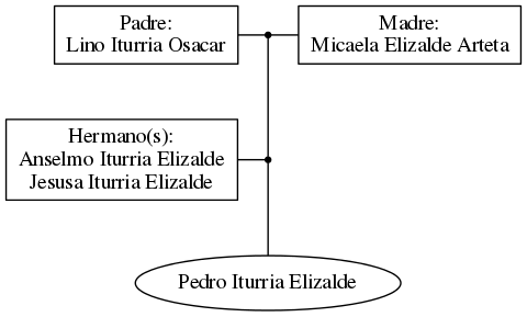 This is a graph with borders and nodes. Maybe there is an Imagemap used so the nodes may be linking to some Pages.