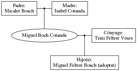 This is a graph with borders and nodes. Maybe there is an Imagemap used so the nodes may be linking to some Pages.