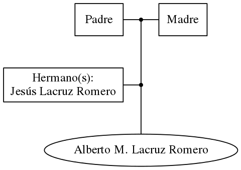 This is a graph with borders and nodes. Maybe there is an Imagemap used so the nodes may be linking to some Pages.