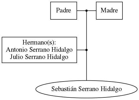 This is a graph with borders and nodes. Maybe there is an Imagemap used so the nodes may be linking to some Pages.