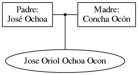 This is a graph with borders and nodes. Maybe there is an Imagemap used so the nodes may be linking to some Pages.