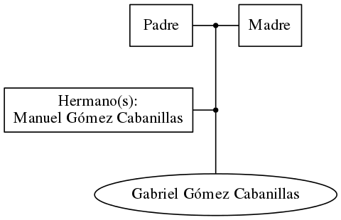 This is a graph with borders and nodes. Maybe there is an Imagemap used so the nodes may be linking to some Pages.