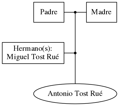 This is a graph with borders and nodes. Maybe there is an Imagemap used so the nodes may be linking to some Pages.