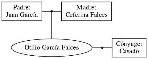 This is a graph with borders and nodes. Maybe there is an Imagemap used so the nodes may be linking to some Pages.