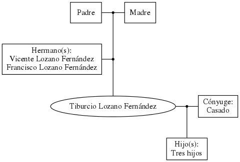 This is a graph with borders and nodes. Maybe there is an Imagemap used so the nodes may be linking to some Pages.