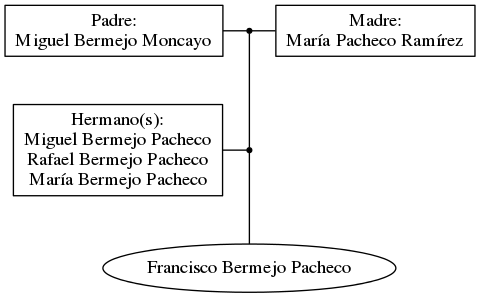 This is a graph with borders and nodes. Maybe there is an Imagemap used so the nodes may be linking to some Pages.