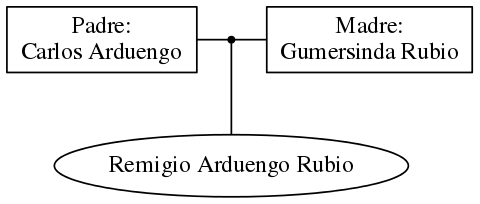 This is a graph with borders and nodes. Maybe there is an Imagemap used so the nodes may be linking to some Pages.