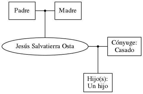 This is a graph with borders and nodes. Maybe there is an Imagemap used so the nodes may be linking to some Pages.