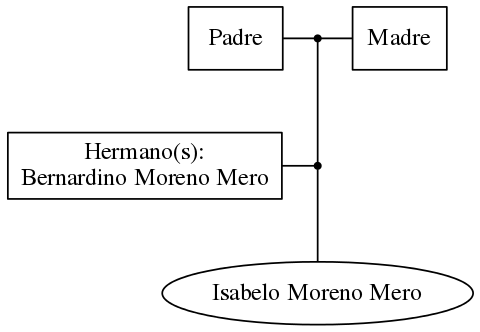 This is a graph with borders and nodes. Maybe there is an Imagemap used so the nodes may be linking to some Pages.