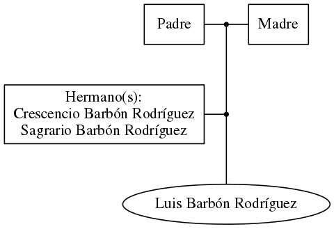 This is a graph with borders and nodes. Maybe there is an Imagemap used so the nodes may be linking to some Pages.