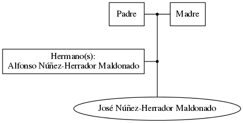 This is a graph with borders and nodes. Maybe there is an Imagemap used so the nodes may be linking to some Pages.