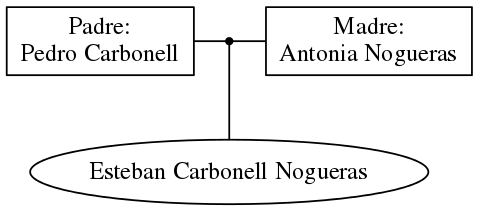 This is a graph with borders and nodes. Maybe there is an Imagemap used so the nodes may be linking to some Pages.