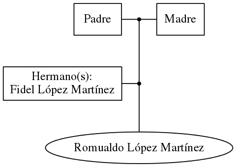 This is a graph with borders and nodes. Maybe there is an Imagemap used so the nodes may be linking to some Pages.