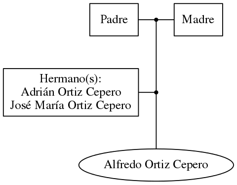 This is a graph with borders and nodes. Maybe there is an Imagemap used so the nodes may be linking to some Pages.