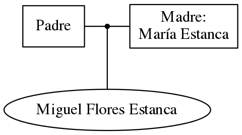 This is a graph with borders and nodes. Maybe there is an Imagemap used so the nodes may be linking to some Pages.