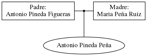 This is a graph with borders and nodes. Maybe there is an Imagemap used so the nodes may be linking to some Pages.