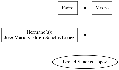 This is a graph with borders and nodes. Maybe there is an Imagemap used so the nodes may be linking to some Pages.