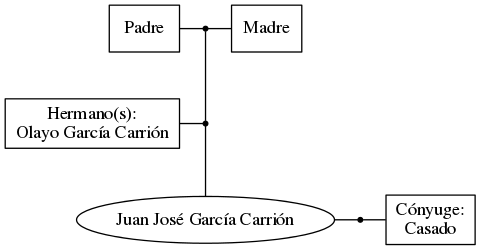 This is a graph with borders and nodes. Maybe there is an Imagemap used so the nodes may be linking to some Pages.