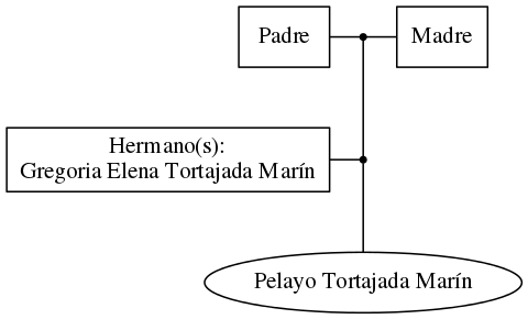 This is a graph with borders and nodes. Maybe there is an Imagemap used so the nodes may be linking to some Pages.