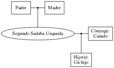 This is a graph with borders and nodes. Maybe there is an Imagemap used so the nodes may be linking to some Pages.