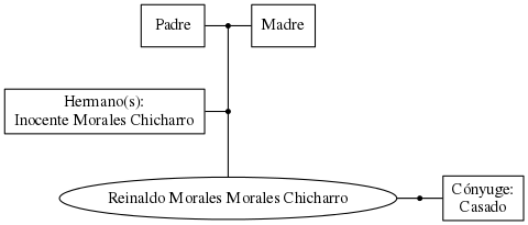 This is a graph with borders and nodes. Maybe there is an Imagemap used so the nodes may be linking to some Pages.