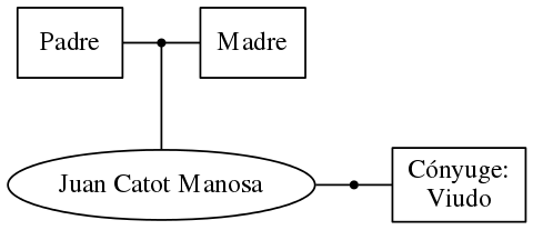 This is a graph with borders and nodes. Maybe there is an Imagemap used so the nodes may be linking to some Pages.