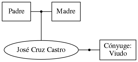 This is a graph with borders and nodes. Maybe there is an Imagemap used so the nodes may be linking to some Pages.