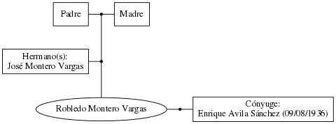 This is a graph with borders and nodes. Maybe there is an Imagemap used so the nodes may be linking to some Pages.